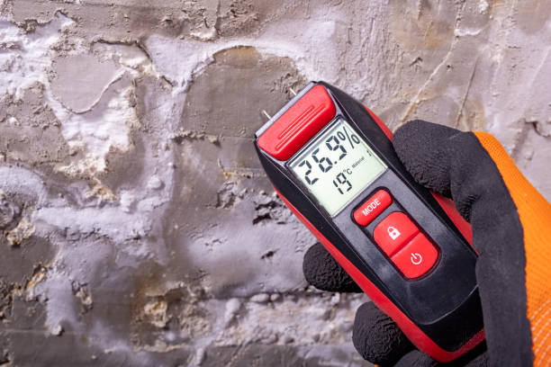 Best Black Mold Remediation in North Beach, MD